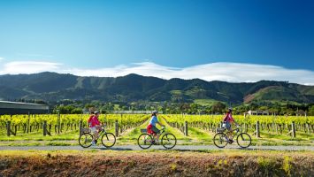 Activities Activities